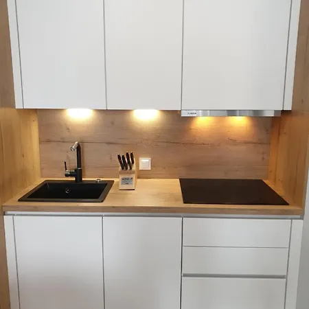 ,private Apartment, Aircondition, Garage, Hd Tv Pl & De, Wifi, Fully Equipped, Near * Kołobrzeg